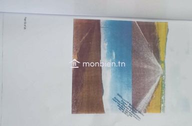 en vente un terrain agricole
