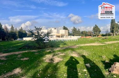 Terrain Santal à Vendre à Zaghouan