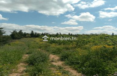🌿 Ferme à vendre – 8,5 hectares