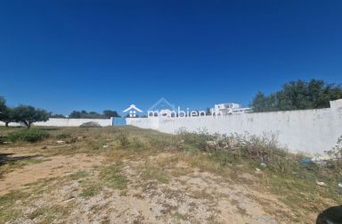 Superbe terrain de 1000 m² à Mrezga à vendre 51355351