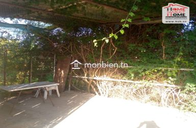 Terrain Agricole Sérénité à Vendre à Menzel Bouzelfa