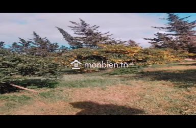 🌿 À VENDRE – SUPERBE ORANGERAIE À SOLIMAN 🌿