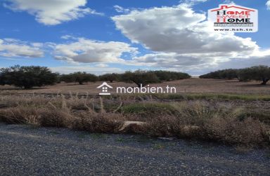 Terrain Agricole Haiza à Vendre à Kef