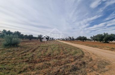 Terrain de 1000 m² à Hammamet Sud à vendre à 230 MD 51355351