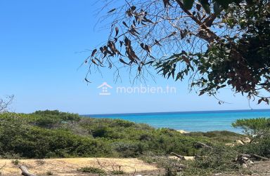 un terrain a vendre de 1 ha