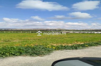 Terrain de 4000 m² à vendre à 100 MD à Hammamet Sud 51355351