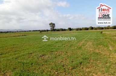 Terrain Habitation Amarilys à Vendre à Raoued