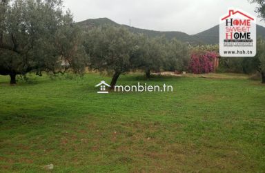 Ferme EL Baha à Vendre à Mornag