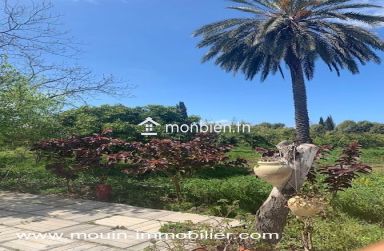 Ferme Oliva T1230 Nabeul