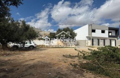 une occasion en or à Hammamet – Birbouregba