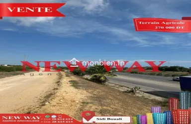 Terrain Agricole à Sidi Bouali près de l'autoroute et GP1