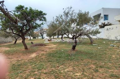 Terrain de 250 m² à Hammamet Nord à vendre 51355351