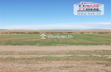 Terrain agricole Ardena à vendre à Mjez El Beb