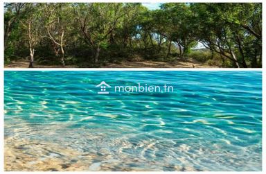 1 ha a vendre au cap bon