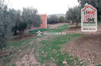 Terrain agricole Agron à vendre à Mjez El Beb