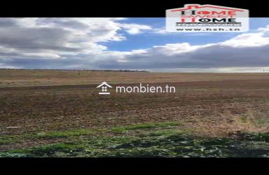 Terrain Agricole Haiza à Vendre à Kef