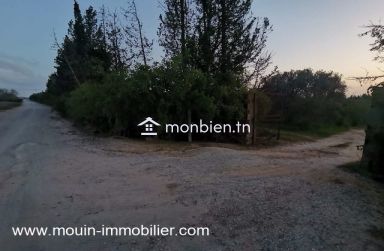 Terrain Sidra T1199 Hammamet