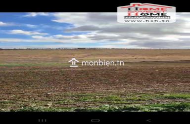 Terrain Agricole Haiza à Vendre à Kef