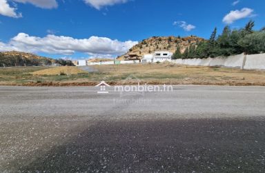 51355351للبيع أرض صبغة سكنية في الحمامات الجنوبية