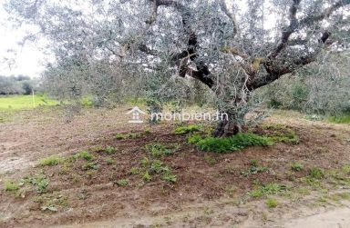 Un terrain de 220 m² à Birbouragba à vendre 51355351