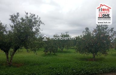 Terrain Agricole TerraNova à Vendre à Mornag