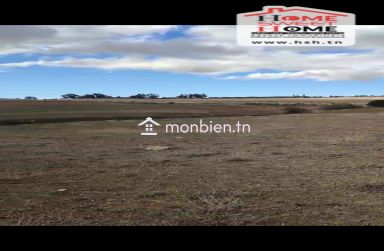 Terrain Agricole Haiza à Vendre à Kef