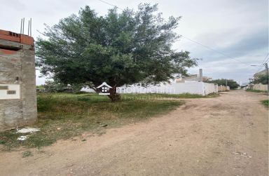 Lot de terrain de 250 m² à Hammamet à vendre 51355351