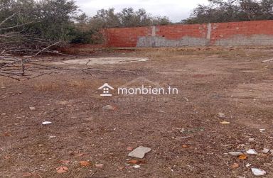 Une maison avec garage et jardin à Birbouregba à vendre 51355351