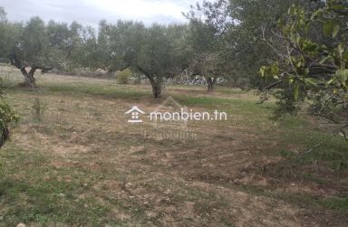 Terrain de 850 m² à vendre à Hammamet Sud 51355351