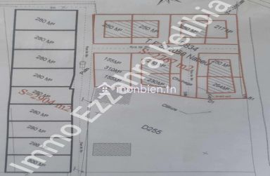 Des lots de terrain  a vendre à kelibia