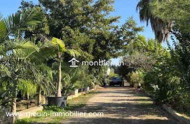 Ferme Beni Khaled 2 T1225 Nabeul