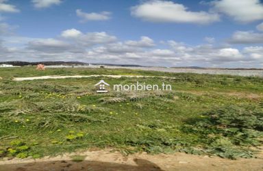 Terrain de 4000 m² à vendre à 100 MD à Hammamet Sud 51355351