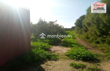Terrain Agricole Sérénité à Vendre à Menzel Bouzelfa