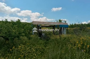 🌿 Ferme à vendre – 8,5 hectares