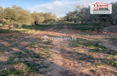 Terrain Agricole Erraja à Vendre à Zaghouan