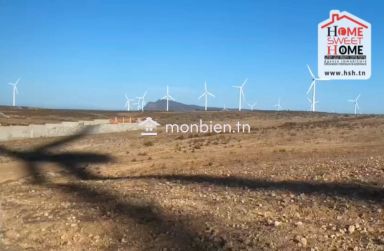 Terrain Promoteur Loris à Vendre à El Haouaria