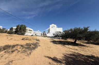 Terrain Aziz à Hammamet Nord