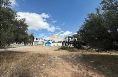 une occasion en or à Hammamet – Birbouregba