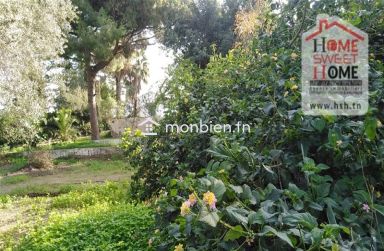 Terrain Villa Tanit à Vendre à Carthage