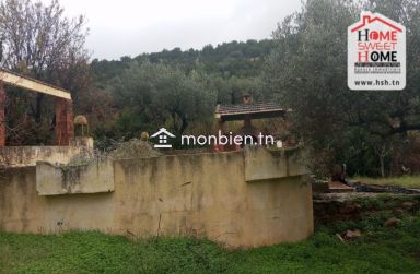 Ferme EL Baha à Vendre à Mornag