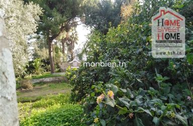 Terrain Villa Tanit à Vendre à Carthage