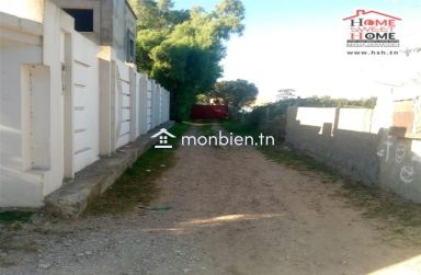 Terrain agricole Olivora à vendre à Menzel Bouzelfa