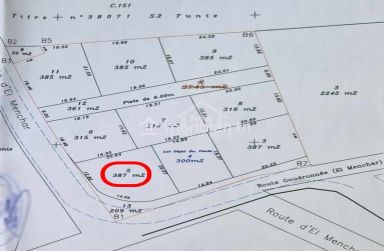 51355351  أرض صبغة سكنية للبيع في الحمامات الجنوبية