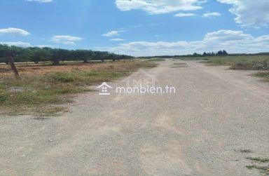 Terrain de 4000 m² à vendre à 100 MD à Hammamet Sud 51355351
