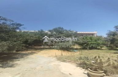 Une maison à vendre à 140 MD à Hammamet Sud 51355351