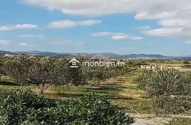 Terrain de 400 m² avec vue de mer à Hammamet Sud à vendre 51355351