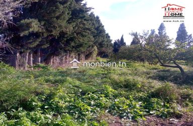 Terrain Agricole Florésia à Vendre à Menzel Bouzalfa