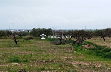 Terrain de 2700 m² à Hammamet Sud à vendre à 200 MD 51355351
