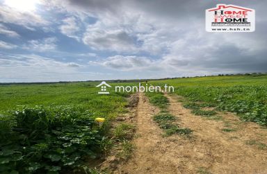 Terrain Agricole Karay à Vendre à Hammem Ghzez