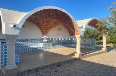 Une grande propriété à Hammamet Sud à vendre 51355351